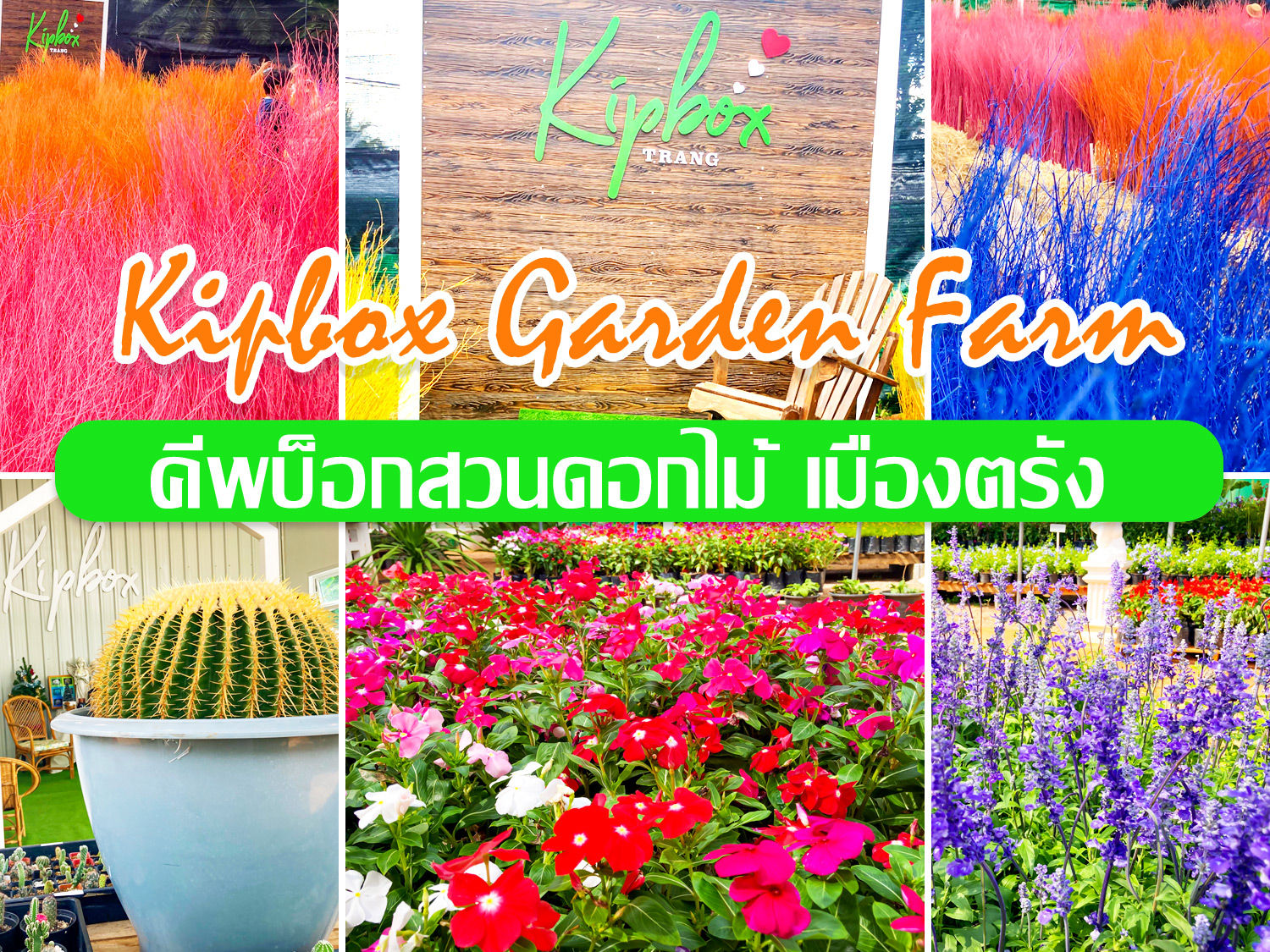 รูปภาพของ Kip Box Garden Farm คีพบ๊อกซ์สวนดอกไม้เมืองตรัง