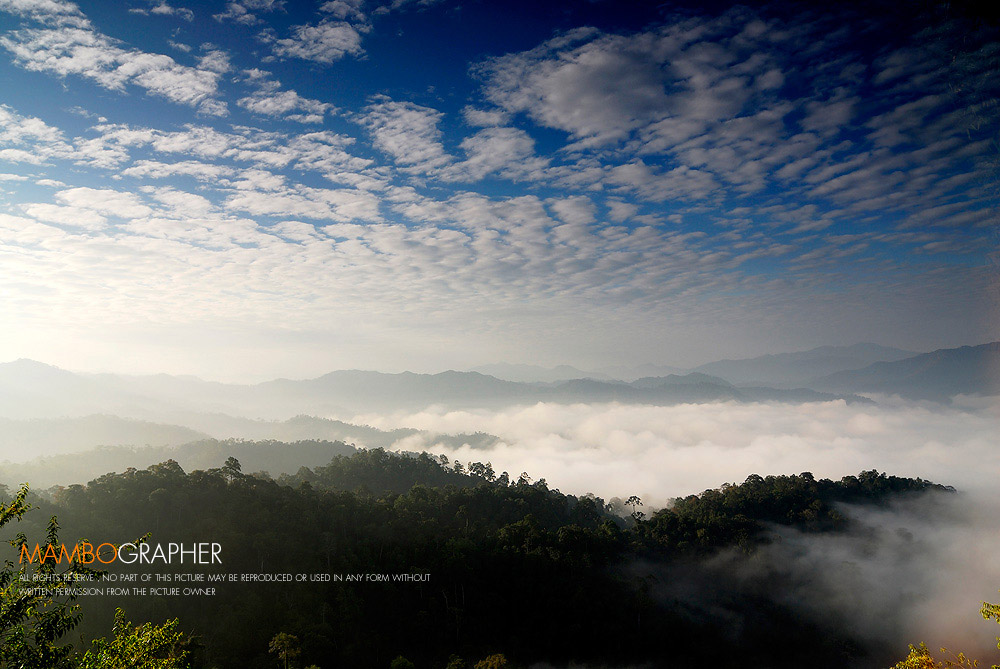 รูปภาพของ Kang Krachan National Park